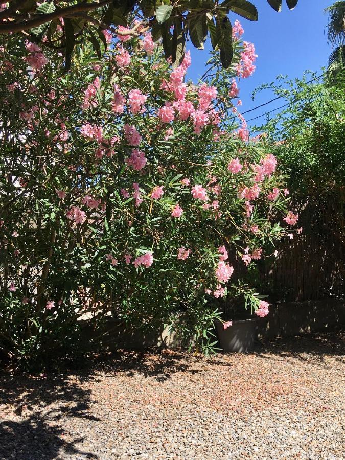 Dans une maison, appartement indépendant et jardin Perpignan Extérieur photo