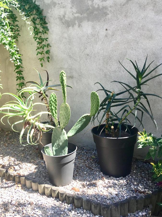 Dans une maison, appartement indépendant et jardin Perpignan Extérieur photo